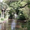 The Brook