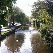 The Brook