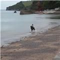 Easter Monday on Dawlish Beach