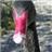 Dawlish Waterfowl