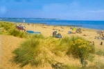Dawlish Warren Beach Small