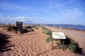 Dawlish Warren Beach Dawlish Warren Beach