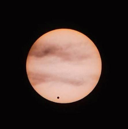 Venus Transit of Sun Delights World