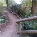 Walk in the park