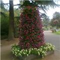 Tree of Flowers