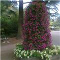 Bunch of Flowers