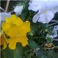 Photo0292