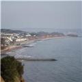 Dawlish Coast