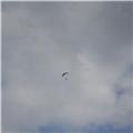Paraglider