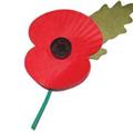 poppy