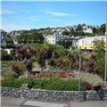 Town Pics