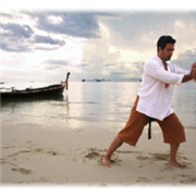 Chris Crudelli 'simple' taichi and Qigong Apprentice instructor course