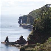 Dawlish.com