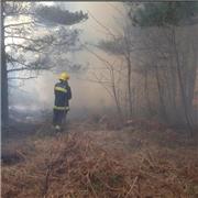 Gorse fire at the top of Luscombe Hill