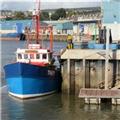 Teignmouth Fish Quay - unloading fish catch.